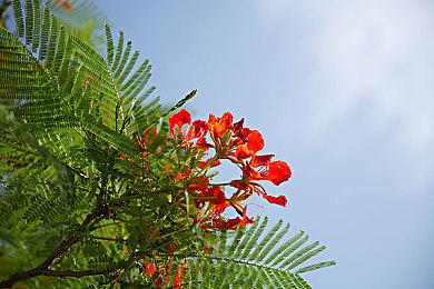 《暗黑破坏神4》新泄露视频 游戏画面和玩法展示